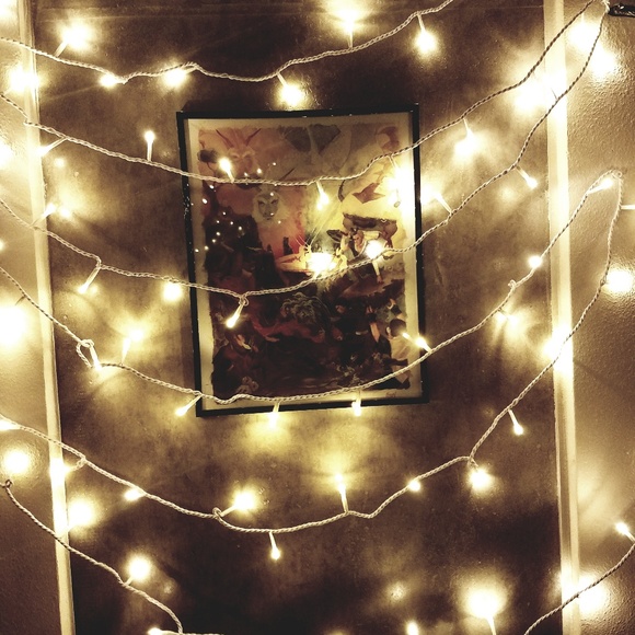 Meet your Posher, Sam - Picture 1 of 1